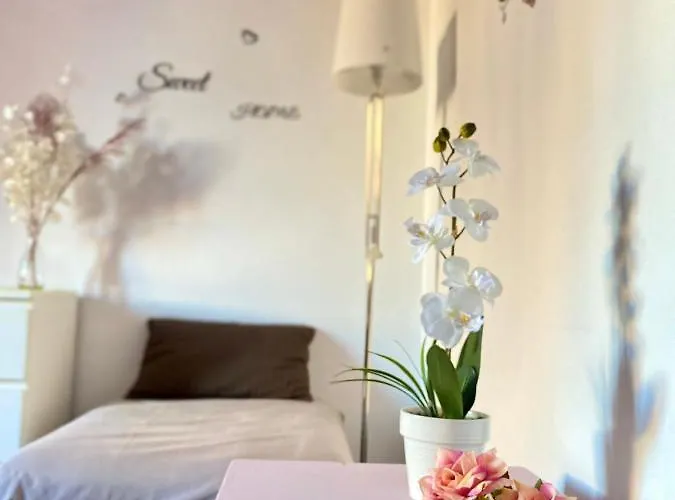 Apartment Dreams In - Colosseum